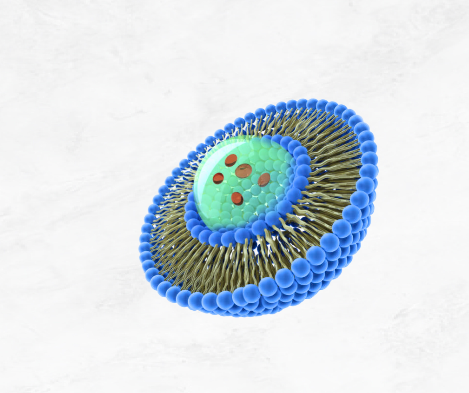 Почему липосома - это прорыв в медицине?